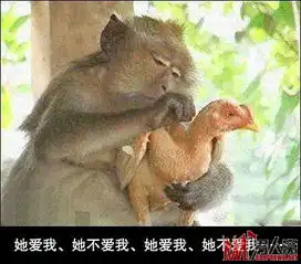 动物爆笑趣图多又多,狗狗也抗日
