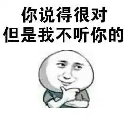 搞笑表情包你说得对,但是我不听你的
