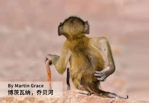 不要让它们消失于世界之后,才明白如何去爱
