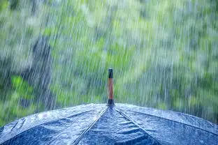 外面虽然下着雨,但我心依旧向厦门

