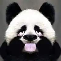 微信搞笑头像可爱好看微信头像图片大全
