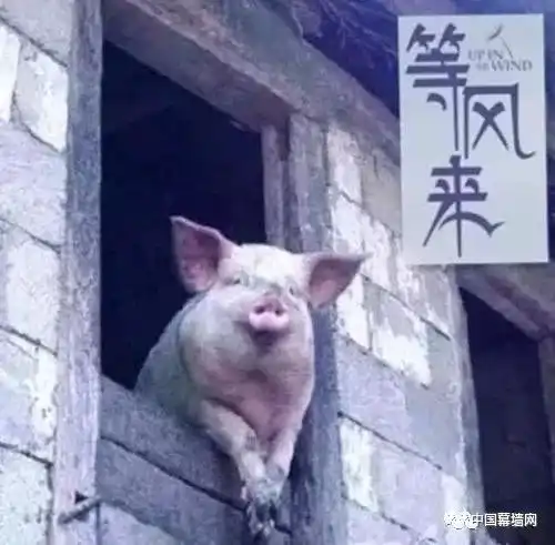 2020变革之年门窗幕墙人准备好了吗
