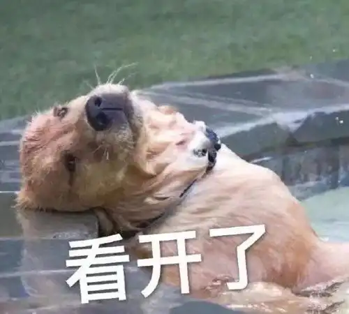 家里养狗的好处和坏处,看完再决定养不养
