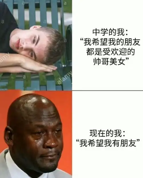 搞笑趣图你自拍跟别人拍你的差别