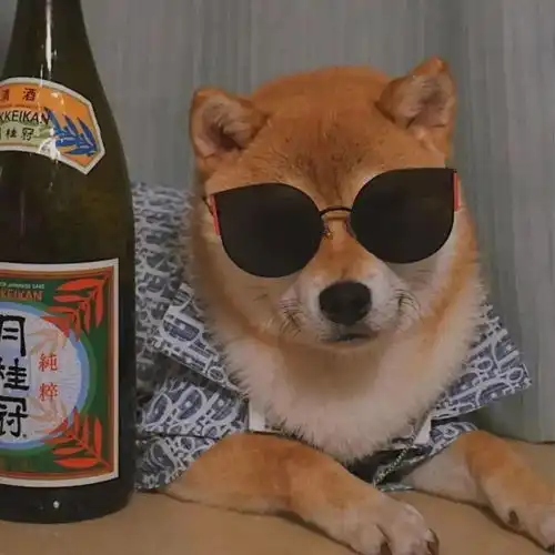 情头喜欢女孩就像喜欢咖啡
