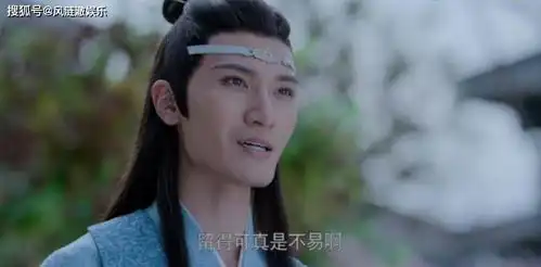 陈情令番外87弟弟没白疼,来自蓝忘机的小惊喜,蓝曦臣感动极了
