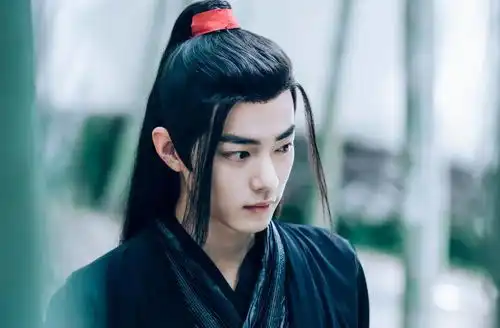 陈情令填坑良心思追的愿望,魏无羡忘了,蓝忘机却种了出来

