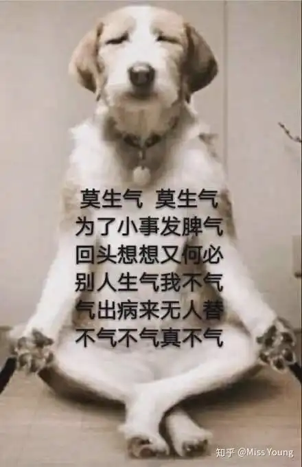 医院体检科目繁多,有哪些必要的体检项目么