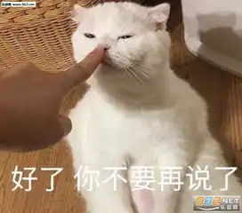 你眼中的单身女孩图片实际上的单身女孩图片熬夜大赛图片下载乐游网游戏下载
