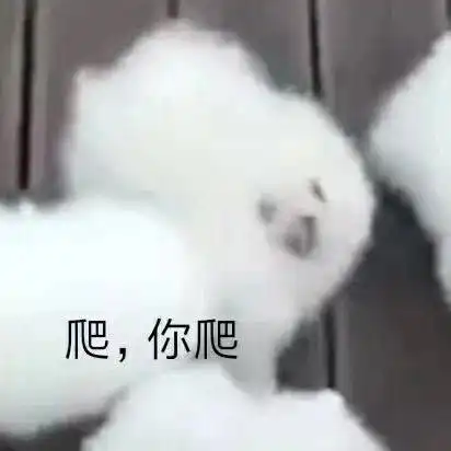 可爱棉花糖狗狗表情包