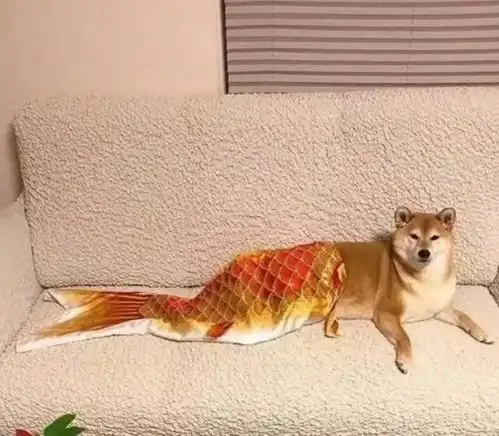 每日一笑开门后,表姐给了我一个嘴巴子,然后骂道
