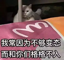 我家猫咪一夜连骑5只母喵,累到要去医院挂点滴,又好气又好笑

