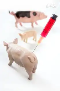 猪打针就死一起探究是何原因
