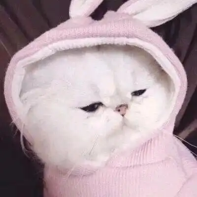 未婚先孕的人都怎么样了
