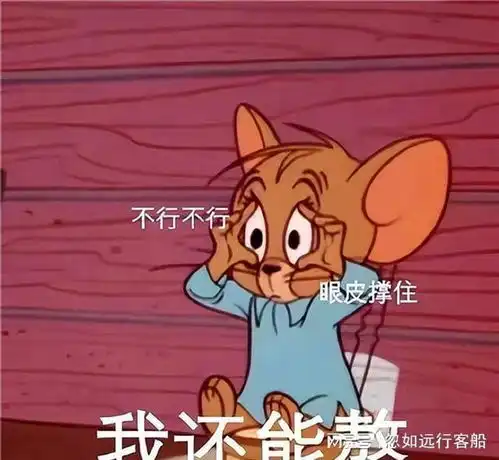 熬夜的幽默句子
