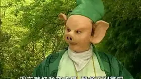上五个版本猪八戒小沈阳最搞笑,徐峥黄海波版最经典
