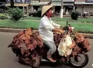 史上最牛图片,没看之前千万别吹牛哈哈哈

