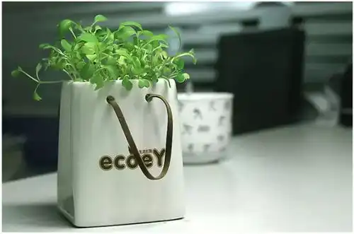 她把家里的垃圾,全部变成了最美的装饰品