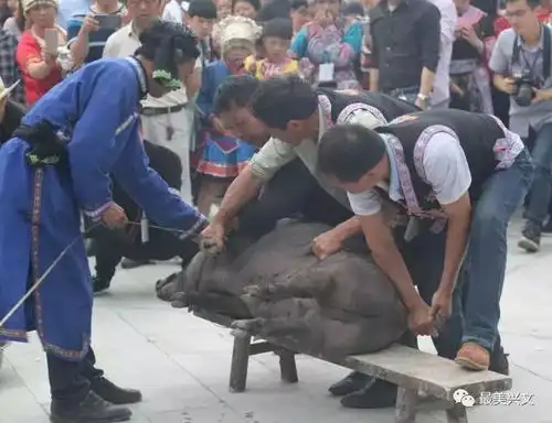 仙峰四月八好闹热数千人聚在一起杀猪宰羊感受高山流水
