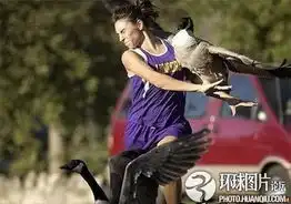让人抓狂的动物们惊恐
