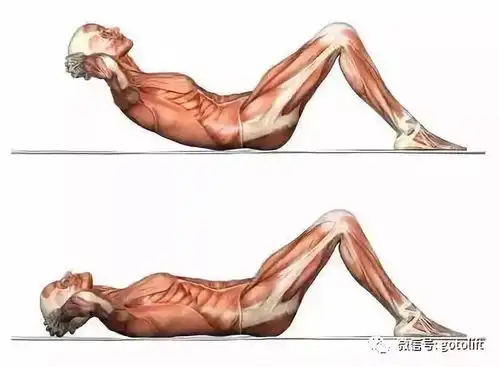 卷腹和仰卧起坐,哪个更练腹肌
