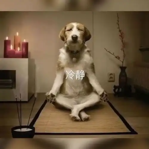 搞笑表情包图片我要保持冷静,一定不笑