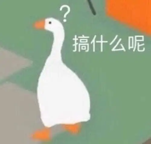 大鹅为爱奔赴800公里这份深沉的爱懂得都懂
