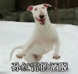周冬雨的凝视周杰伦的冷漠这些明星表情包你值得拥有
