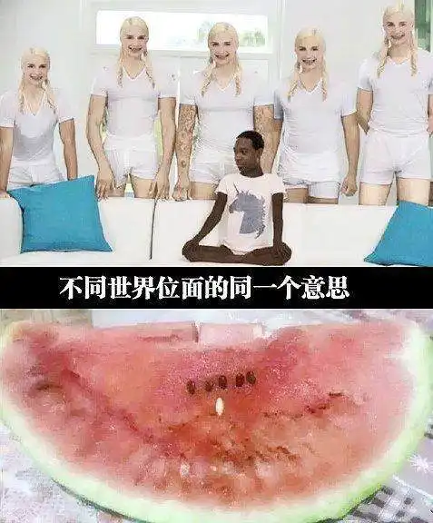 搞笑图片幽默段子笑话我不嫌弃你的字丑,我只是嫌你长得丑而已
