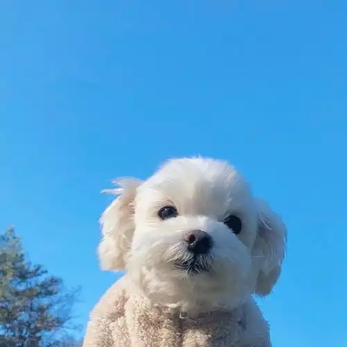 微信最近很火的段子,句句诙谐幽默
