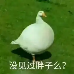 门前大桥下游过一群鸭,大家快来数一数,周末开心鸭
