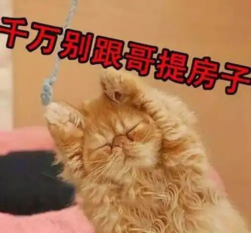 冷笑话买房,笑死人不偿命
