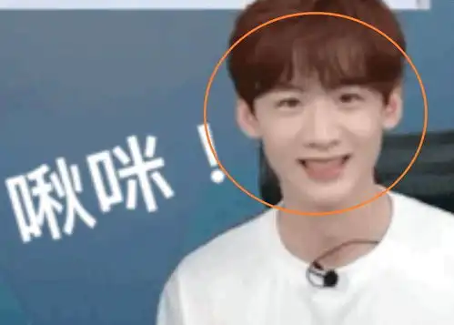 白敬亭现身李佳琦直播间,啾咪式撒娇,我却被头上的装饰吸引
