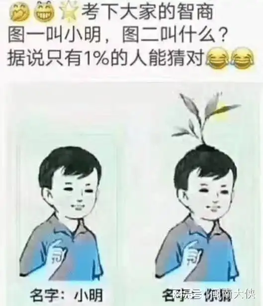 搞笑合集这种快递不能随便邮寄呀
