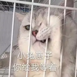 表情包丨不斗图不快乐
