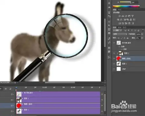 如何使用ps制作移动的放大镜动画效果图
