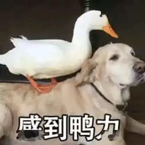 毕业后直接留学还是工作几年再留学两种选择差别有多大
