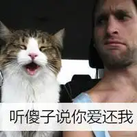 带宠物的男生头像比较搞笑的带字宠物头像
