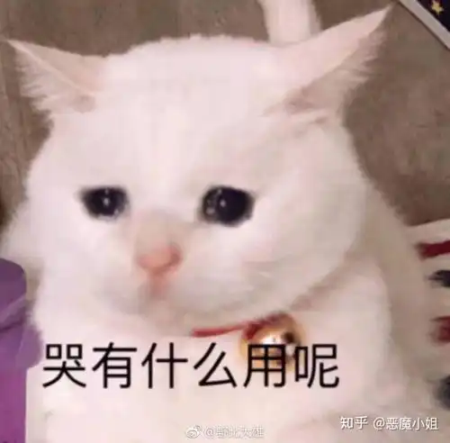笼中雀
