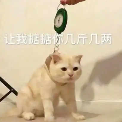 爆笑恶搞喵星人带字卖萌头像13
