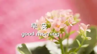 11月最新早安图片带字
