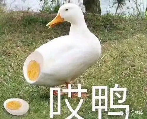 请问一个下午吃了图片上全部算暴食吗
