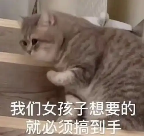 被客服小哥哥当作乔碧萝大佬并且宽慰道哥,都...
