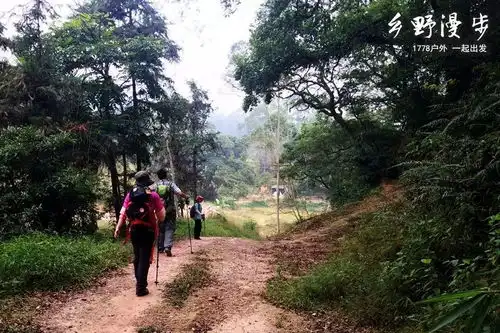 已成团2月4日周日穿越高明茶山品美味走地鸡
