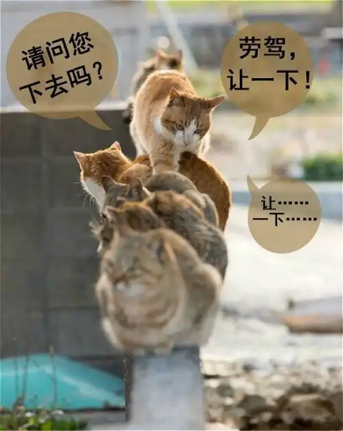 提前曝光杭州东站有大事发生
