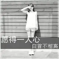 女生励志带字背影头像qq女生背影带字头像
