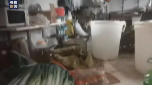 记者揭幽灵外卖店乱象牌照地址相片造假厨房实与垃圾相邻
