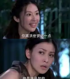 史上最搞笑台词你离洪世贤远一点,他是林品如的
