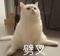 有什么套路女朋友的表情包

