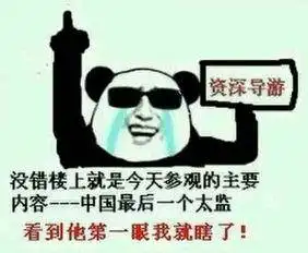 资深导游
